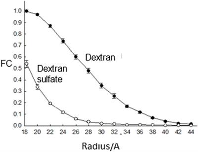 New insights into proteinuria/albuminuria